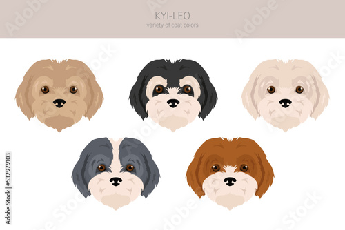 Kyi-Leo dog clipart. Different coat colors set
