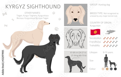 Kyrgyz sighthound clipart. Different coat colors set