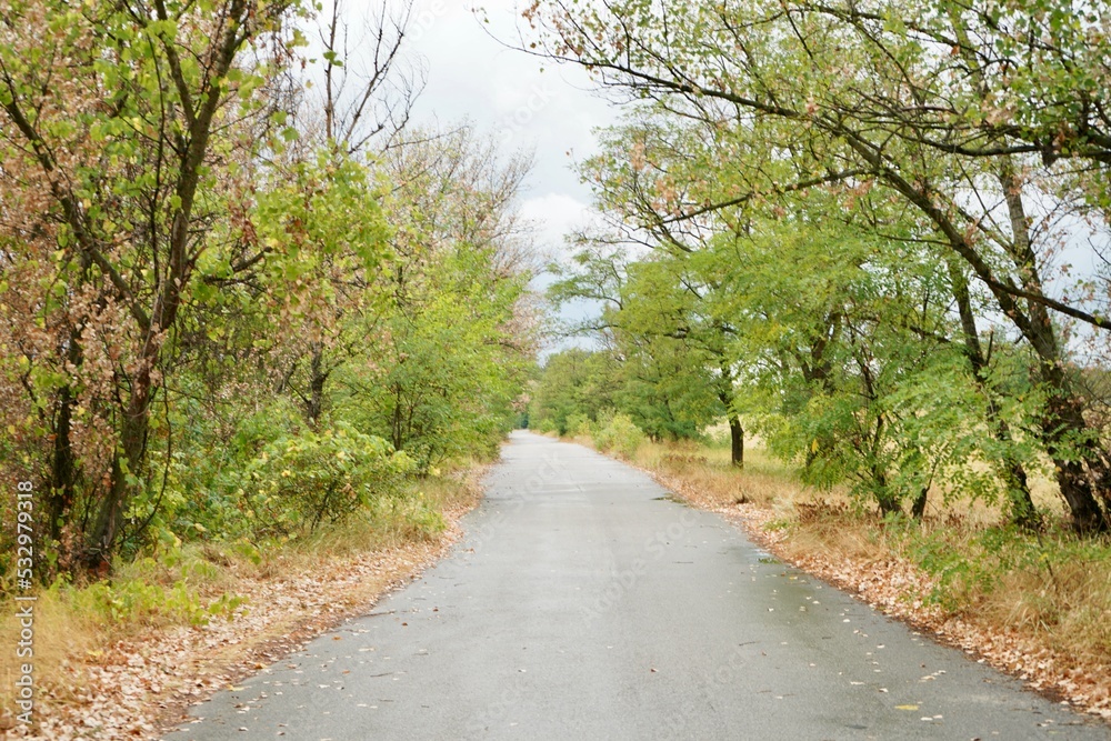 Fototapeta premium Moca Slovakia 2022 July