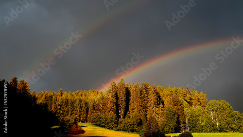 Double rainbow over the forest