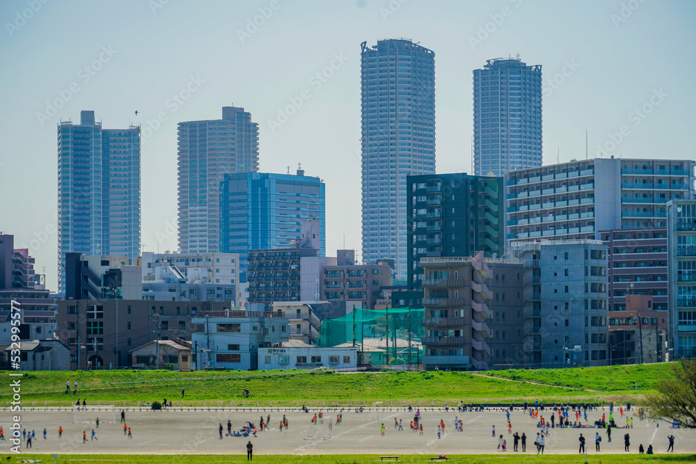 Obraz premium 武蔵小杉のビル群と多摩川河川敷