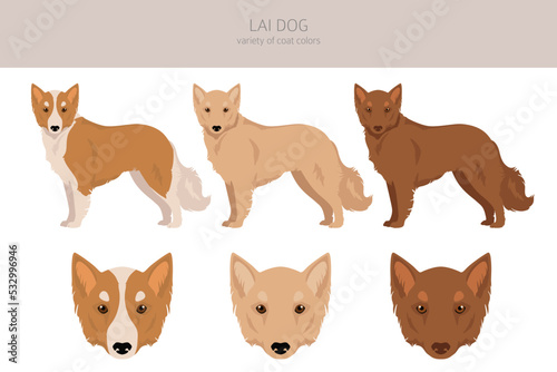 Bild auf Leinwand Vietnamese Lai dog clipart. Different coat colors se
