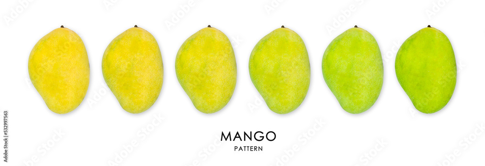 Raw mangoes and ripe patterns on white isolation for decoration