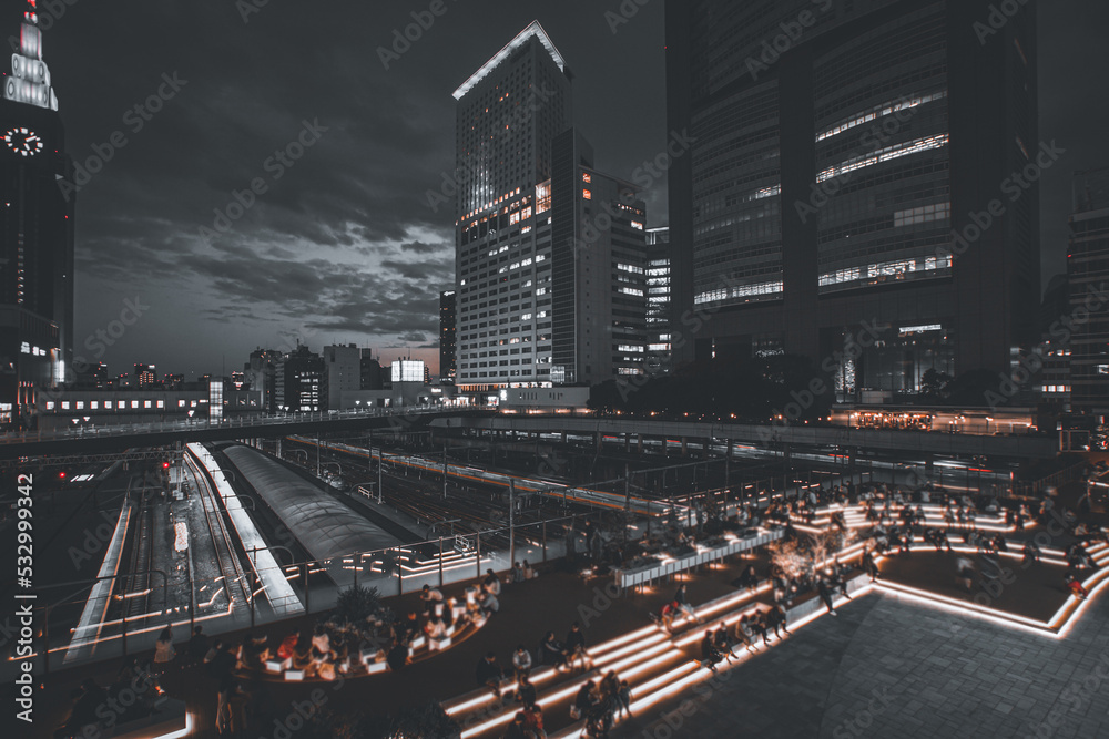 Fototapeta premium 新宿駅新南口の夜景