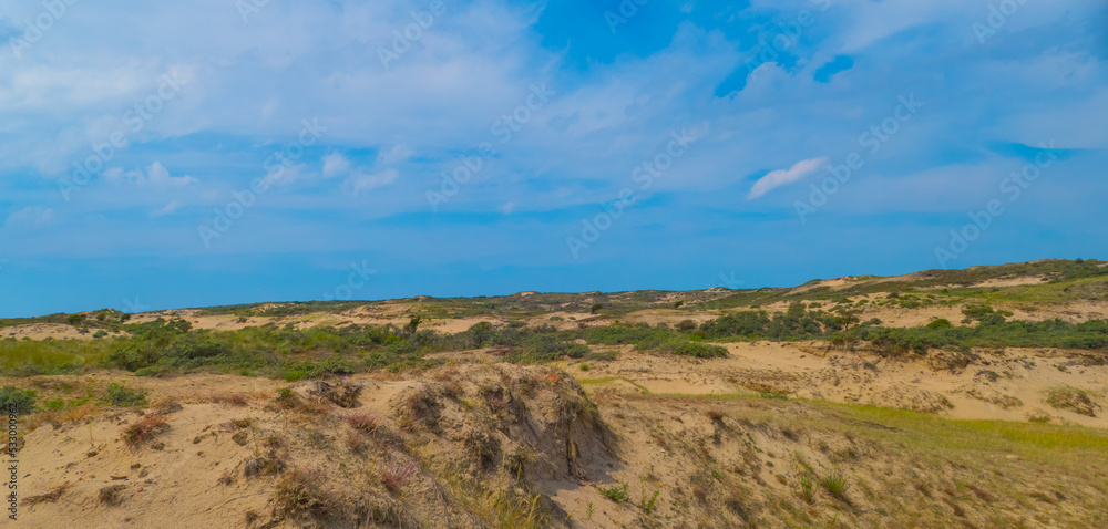 Dune Landscape with Horizon