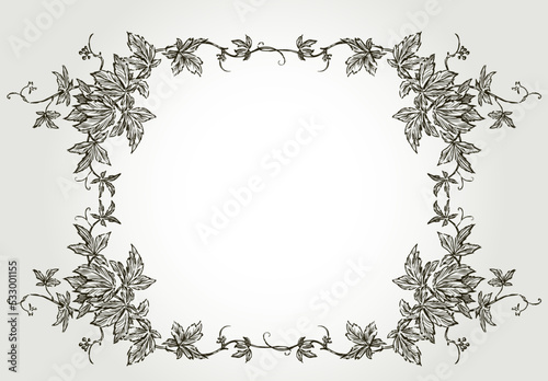 Decorative border from sketches vintage vine brances with leaves and tendrils