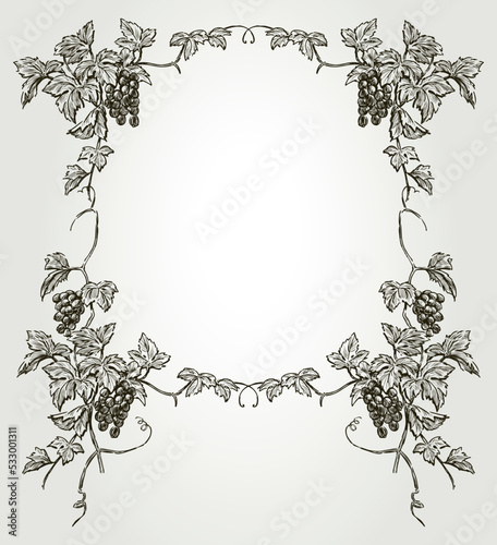Decorative frame from sketches vintage vine branches with ripe grape berries, leaves and tendrils