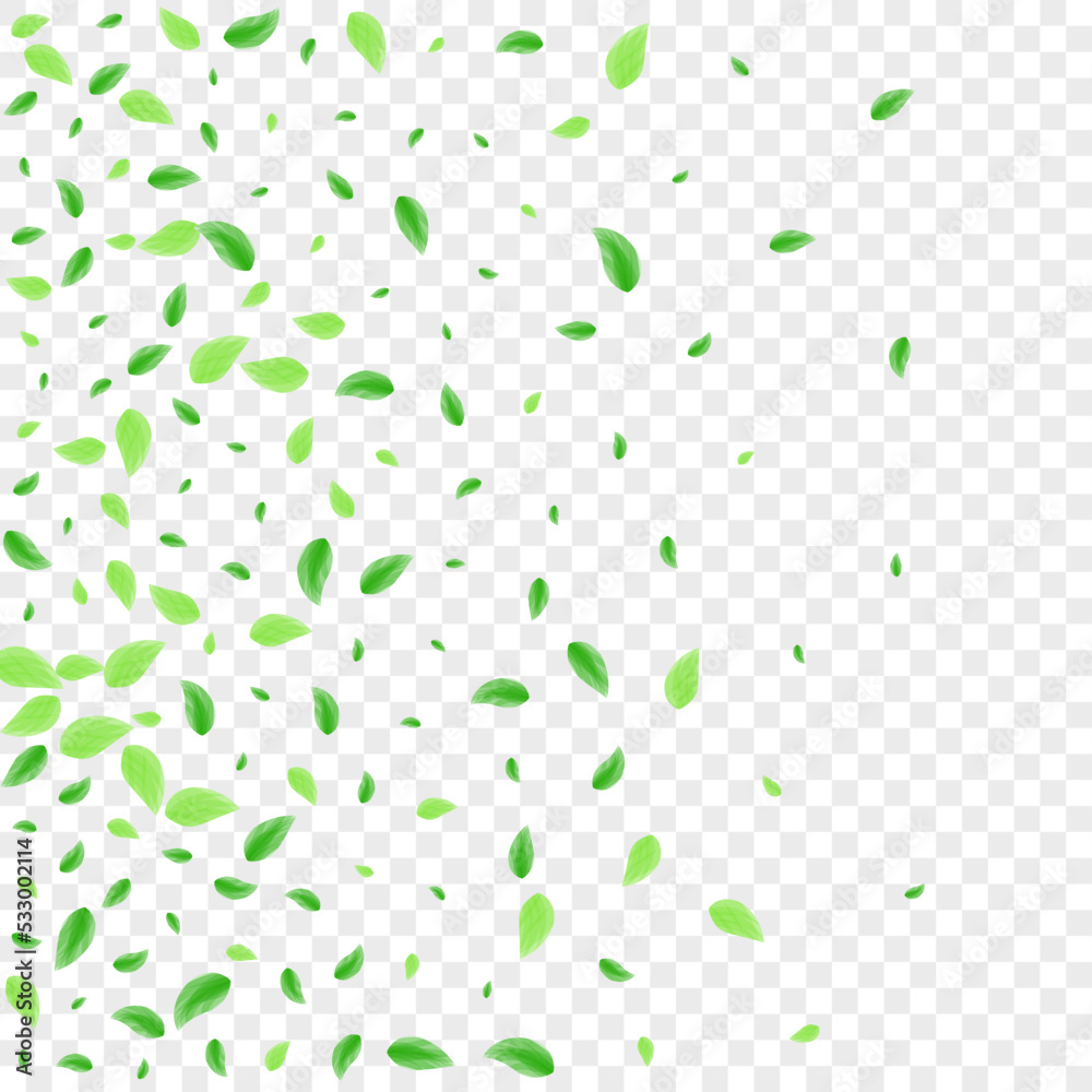 Green Greenery Background Transparent Vector. Foliage Eucalyptus Design. Nature Card. Greenish Branch Illustration. Plant Environmental.