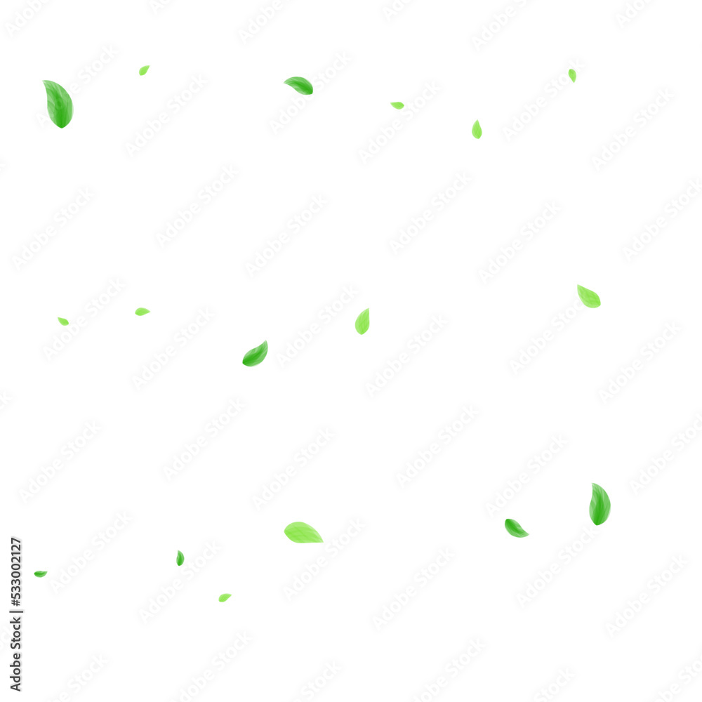 Green Leaf Background White Vector. Sheet Elegant Texture. Peaceful Card. Light Green Selective Illustration. Vegetation Mint.