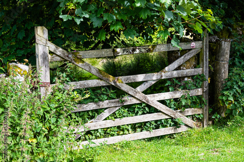 Old Gate and Nettles in the sun on Dartmoor.