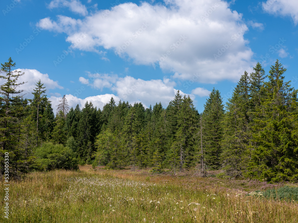 Etang de la Gruère