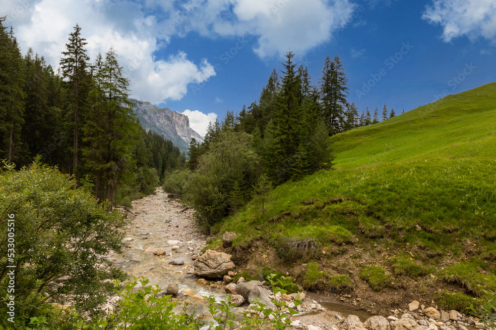 Mountain stream Mountain stream