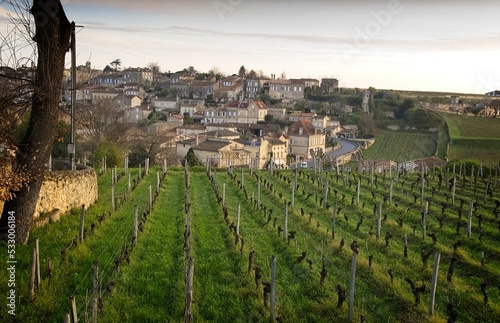 Vineyards and Bordeaux village of Saint Emillion  France in the early morning.