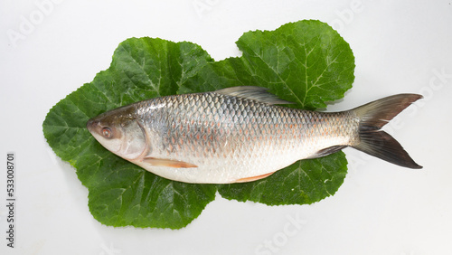 The rohu, rui, or roho labeo is a species of fish of the carp family, found in rivers in South Asia. Fish market display. raw, uncooked, whole and side view with leaves. photo