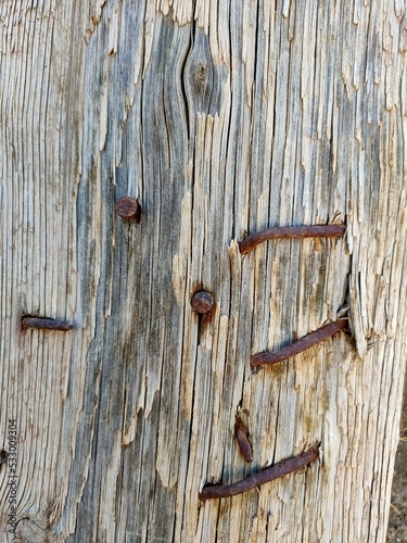 Old wooden background with rusty nails. Close-up of an old board with nails.