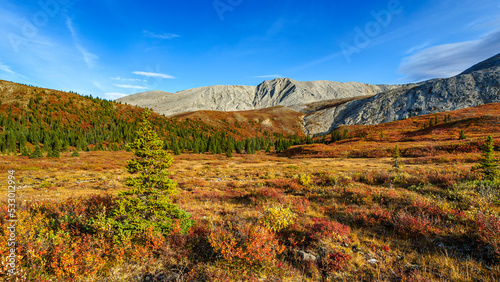 Autumn Colours, Stone Mountain