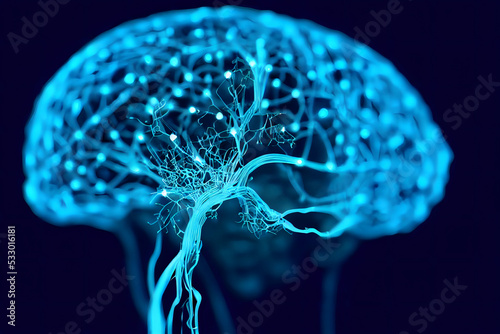 The neurons connections