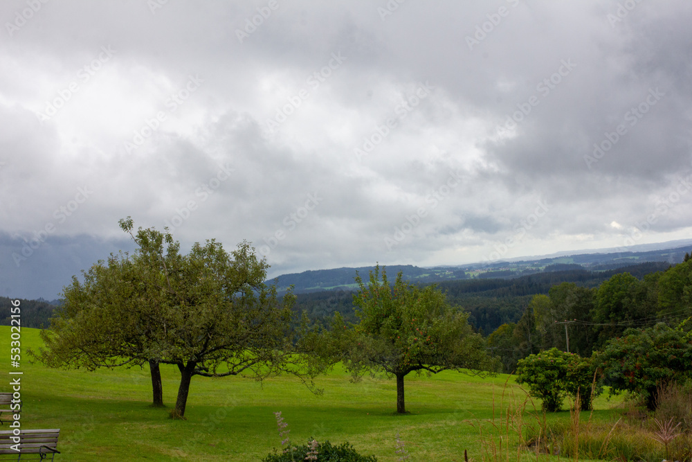 landscape with trees and clouds in Allgäu landscape with trees and clouds in Allgäu