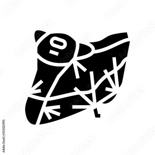 cover motorcycle accessory glyph icon vector. cover motorcycle accessory sign. isolated symbol illustration