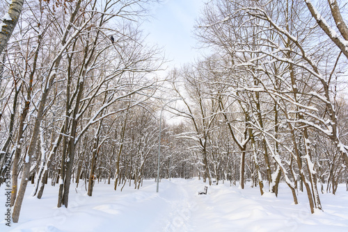 Hiking trail in a snow-covered, beautiful winter landscape.