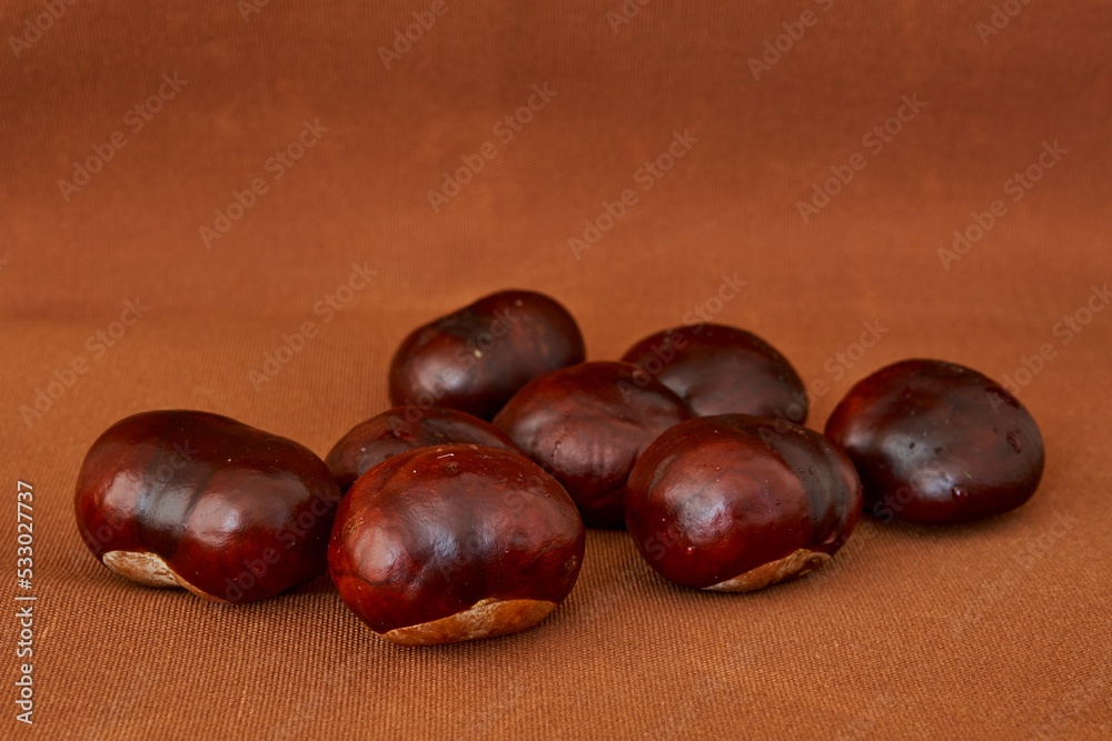 Obraz premium chestnut fruits lie on a black background
