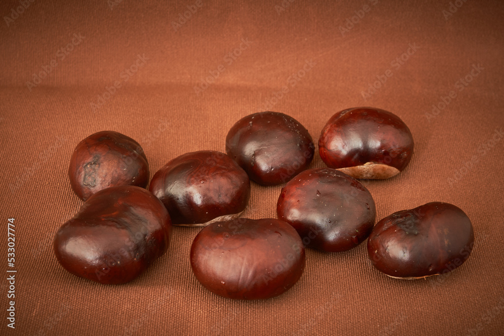 chestnut fruits lie on a black background chestnut fruits lie on a black background
