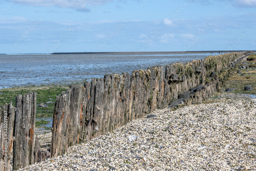old wooden piles in the north sea at ebb tide old wooden piles in the north sea at ebb tide