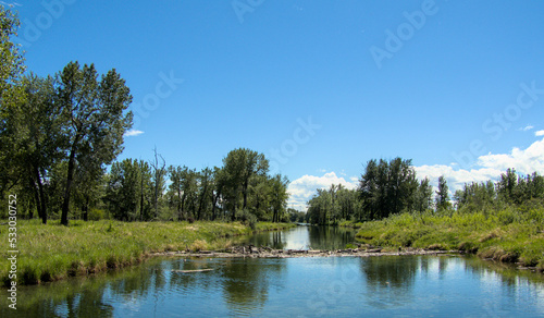 Landscape with river and trees, Inglewood Bird Sanctuary, Calgary, Canada