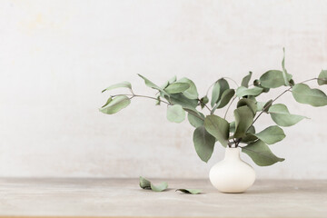 Green eucalyptus leaves in vase. Front view. Place for text, copy space, mockup.