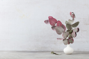 Green eucalyptus leaves in vase. Front view. Place for text, copy space, mockup.