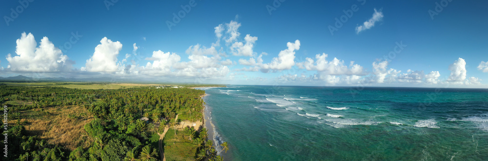 Wild tropical coastline with coconut palm trees and turquoise caribbean sea. Travel destination. Panorama view from drone