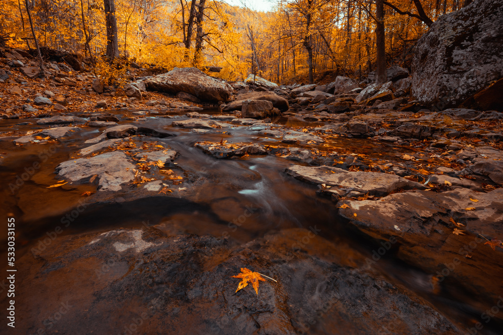 Ozark Mountain creek stream flows over the rocky forest bed in a yellow colored fall forest with Autumn trees. 