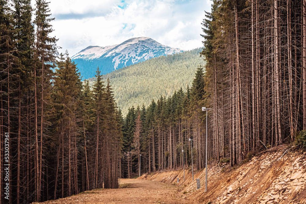 Mountain range of the Ukrainian Carpathians in summer with a tonal perspective. High quality photo Mountain range of the Ukrainian Carpathians in summer with a tonal perspective. High quality photo