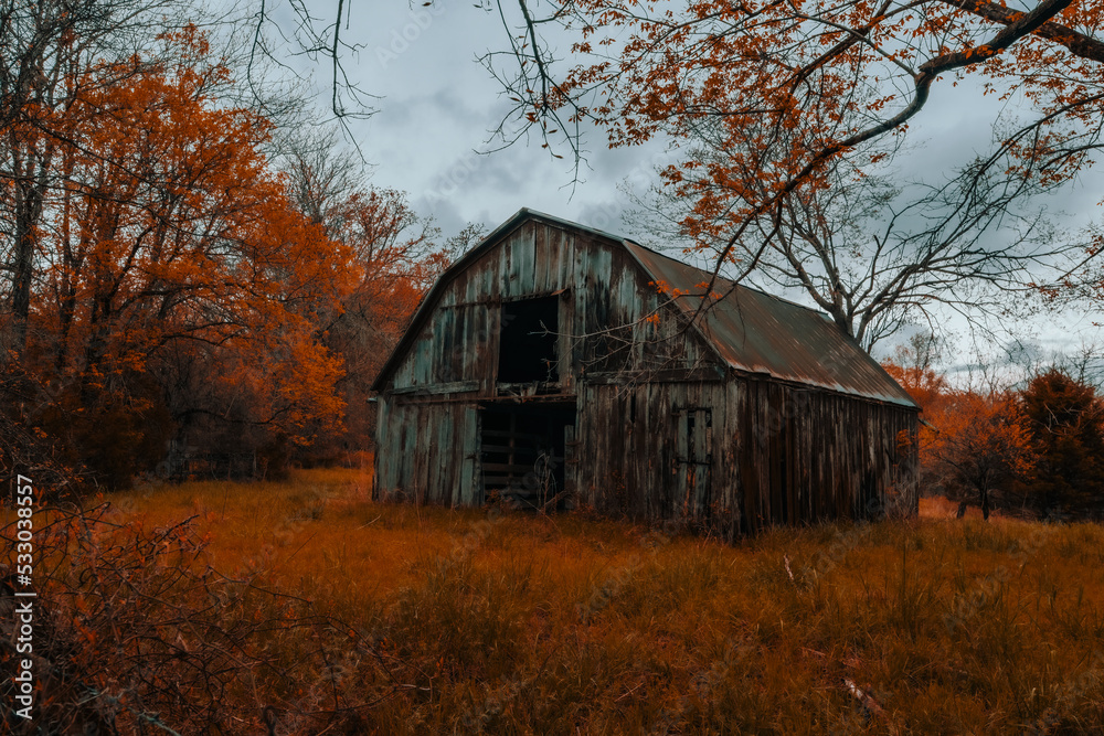 An old rustic barn decorates the farmland of Arkansas during fall with autumn colored trees with hay type grass in the foreground. An old rustic barn decorates the farmland of Arkansas during fall with autumn colored trees with hay type grass in the foreground.