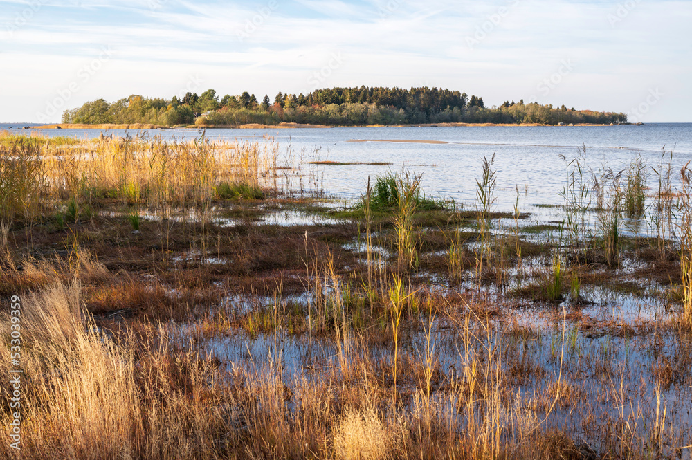 Coastal wetland and view of an island. Storsand, Nykarleby/Uusikaarlepyy. Finland