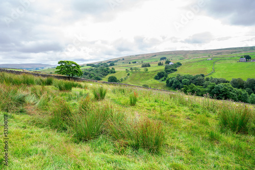 Wallpaper Mural Walking Pennine way near Cumbria. The landscapes around Alston town, highest market settlement in England, selective focus Torontodigital.ca