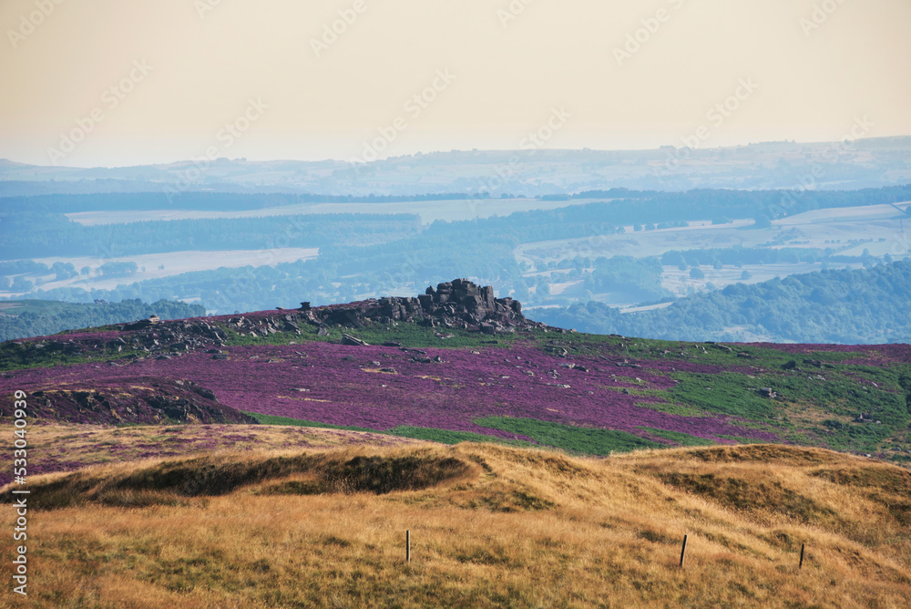 Lovely Summer day landscape image of Higger Tor vibrant heather viewed from Stanage Edge in Peak District