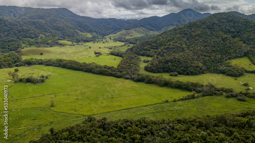Fototapeta Naklejka Na Ścianę i Meble -  Rural area destined for restoration of native forest in the municipality of Casimiro de Abreu, Rio de Janeiro. 
