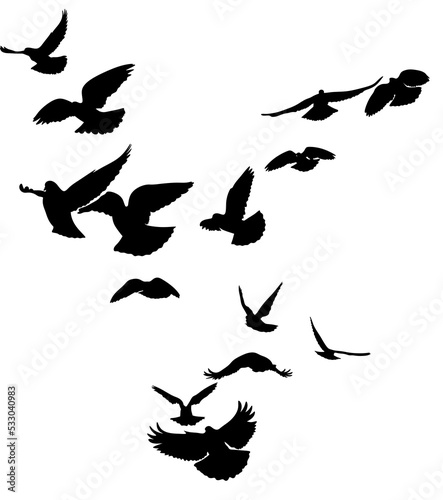 Flying bird silhouette. Doves isolated illustration.