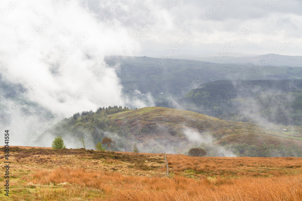 Dramatic Water vapour mist steam rising from hill and wood after rain storm. Dramatic Water vapour mist steam rising from hill and wood after rain storm.