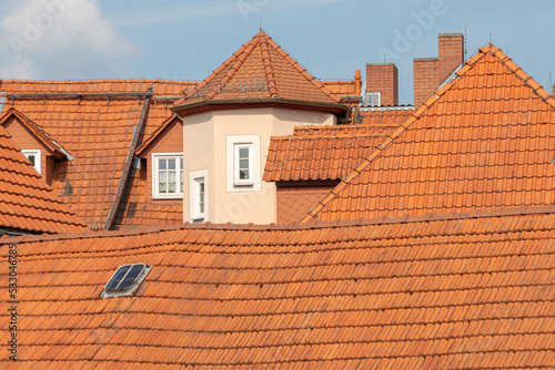 red roofs covered with old historic red shingles in Alsfeld