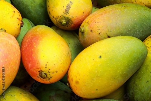 The king of fruits is mango