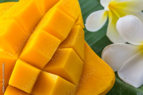 The king of fruits is mango