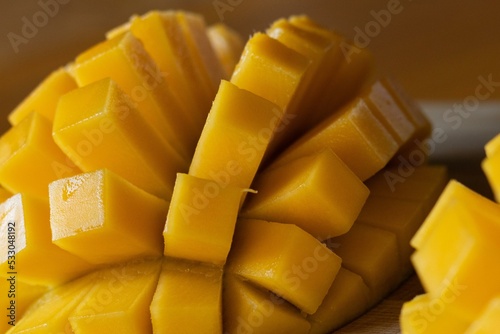 The king of fruits is mango