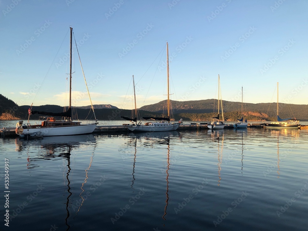 A row full of sailboats beside each other on a dock, on a beautiful evening in Cowichan Bay, Vancouver Island, British Columbia, Canada