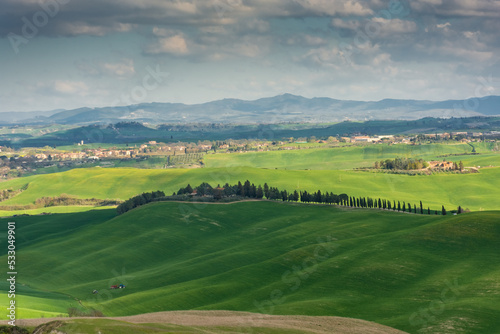 Green meadows of Crete Senesi countryside, Italy