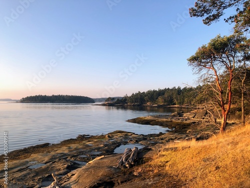 Fotografi Beautiful landscape views of an island shore surrounded by beautiful arbutus tre