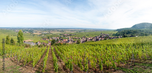 scenic view to Gueberschwihr and vineyards in the Alsace region