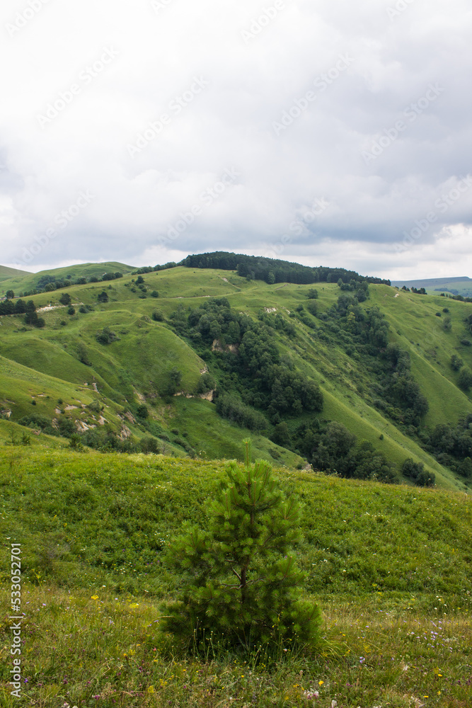 Panoramic top view of a beautiful valley with trees and hills and a blurred horizon against a cloudy dramatic sky in Kislovodsk russia
