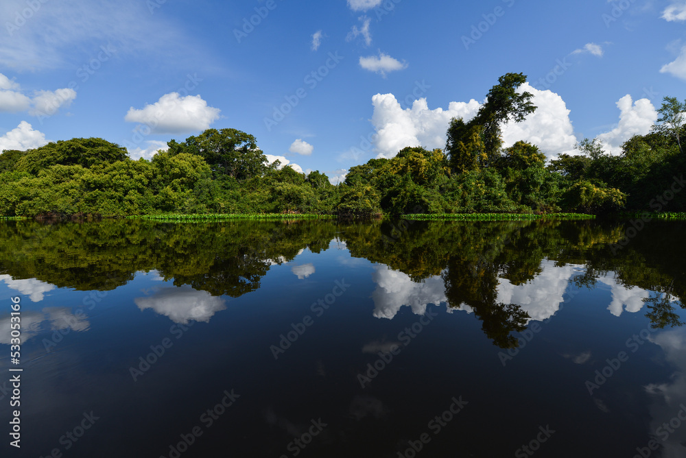 Cloud and rainforest reflections on the Guaporé - Itenez river near Cabixi, Rondonia state, Brazil, on the border with the Santa Cruz Department, Bolivia Cloud and rainforest reflections on the Guaporé - Itenez river near Cabixi, Rondonia state, Brazil, on the border with the Santa Cruz Department, Bolivia